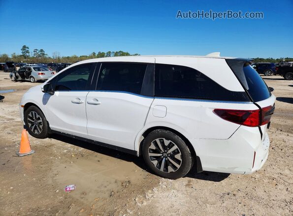5FNRL6H65TB007249 2026 HONDA ODYSSEY White Trasero izquierdo