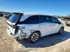 2026 Honda Odyssey Exl White vin: 5FNRL6H65TB007249