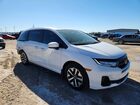 2026 Honda Odyssey Exl White vin: 5FNRL6H65TB007249