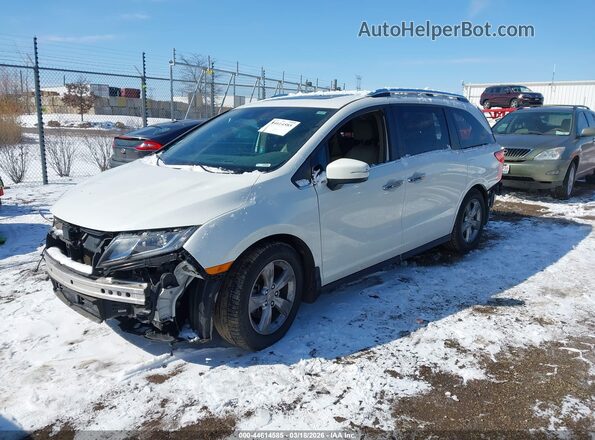 5FNRL6H72LB004270 2020 HONDA ODYSSEY Белый Передняя левая четверть