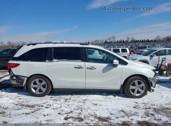 5FNRL6H72LB004270 2020 HONDA ODYSSEY Белый Вид задней части салона