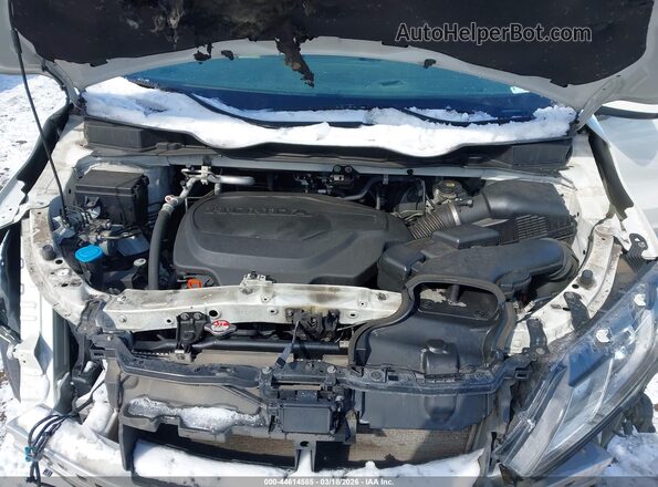 5FNRL6H72LB004270 2020 HONDA ODYSSEY Белый Вид сзади