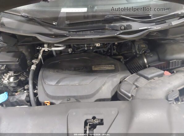 5FNRL6H72LB068809 2020 HONDA ODYSSEY Серый Вид сзади