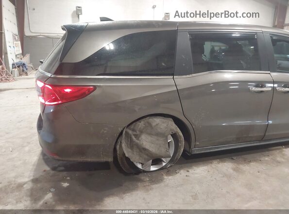 5FNRL6H72LB068809 2020 HONDA ODYSSEY Серый Вид спереди