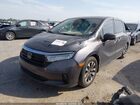 2021 Honda Odyssey Ex-l Gray vin: 5FNRL6H72MB025587