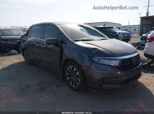 5FNRL6H72MB025587 2021 HONDA ODYSSEY Gray Front right