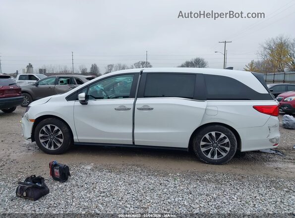 5FNRL6H72NB052760 2022 HONDA ODYSSEY Белый Панорамный вид салона 360°
