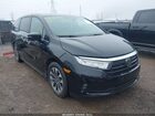 2021 Honda Odyssey Ex-l Black vin: 5FNRL6H73MB021385