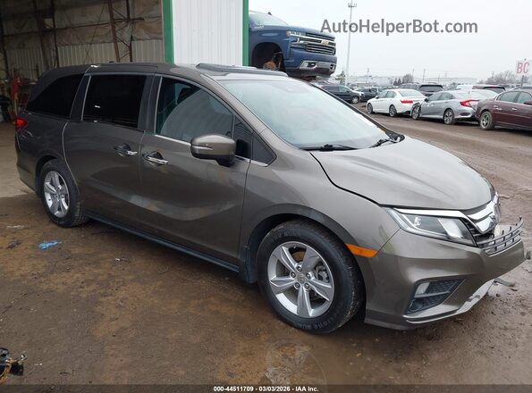 5FNRL6H74KB003359 2019 HONDA ODYSSEY Коричневый Передняя правая четверть