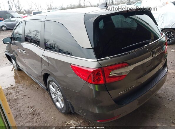 5FNRL6H74KB003359 2019 HONDA ODYSSEY Коричневый Задняя левая четверть