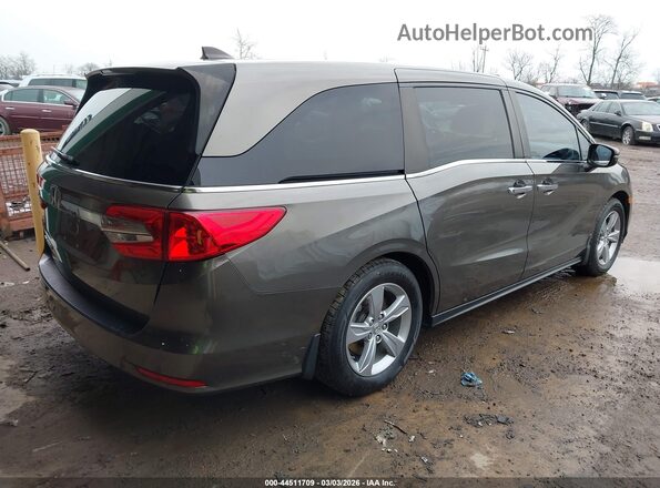 5FNRL6H74KB003359 2019 HONDA ODYSSEY Коричневый Задняя правая четверть