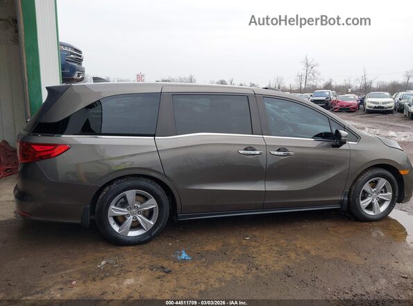 5FNRL6H74KB003359 2019 HONDA ODYSSEY Коричневый Вид задней части салона