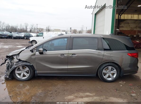 5FNRL6H74KB003359 2019 HONDA ODYSSEY Коричневый Панорамный вид салона 360°