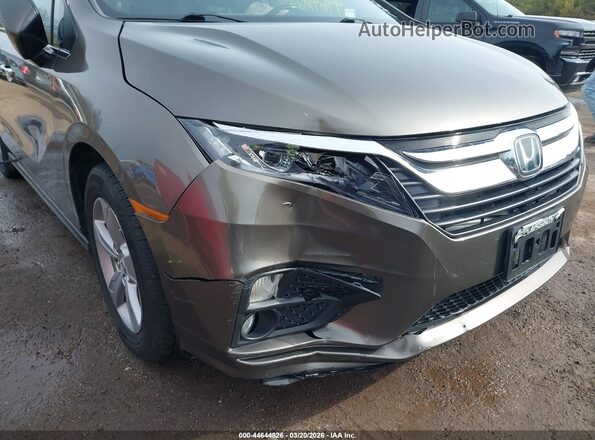 5FNRL6H74KB110542 2019 HONDA ODYSSEY Gray Widok z przodu