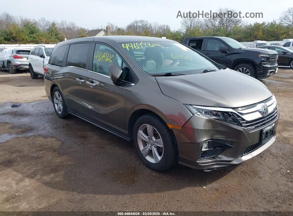 5FNRL6H74KB110542 2019 HONDA ODYSSEY Gray Przód prawy
