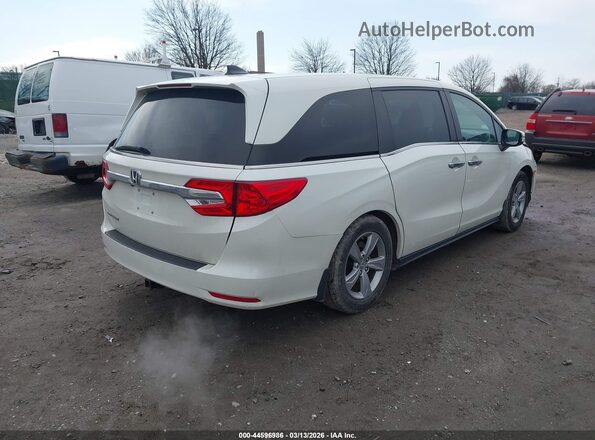 5FNRL6H75KB024012 2019 HONDA ODYSSEY White Задня права чверть