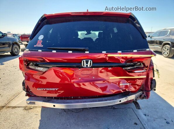 5FNRL6H75PB052996 2023 HONDA ODYSSEY Red Вид ззаду