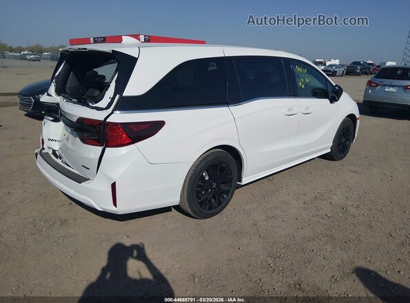 5FNRL6H75TB043953 2026 HONDA ODYSSEY Белый Задняя правая четверть