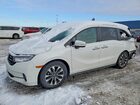 2021 Honda Odyssey Exl White vin: 5FNRL6H77MB020692