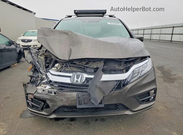 5FNRL6H79KB022344 2019 HONDA ODYSSEY Brown Widok z przodu