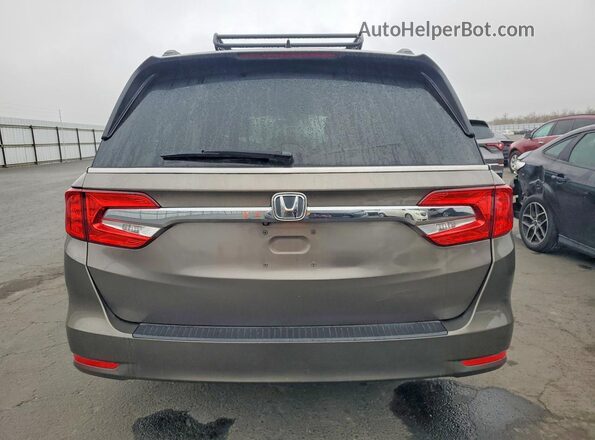 5FNRL6H79KB022344 2019 HONDA ODYSSEY Brown Widok z tyłu