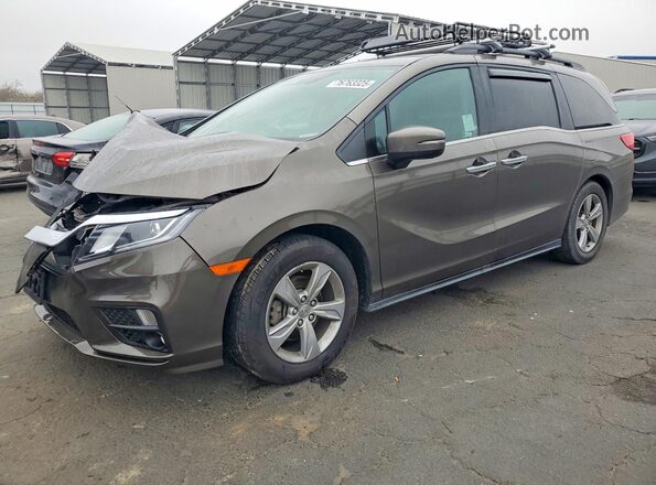 5FNRL6H79KB022344 2019 HONDA ODYSSEY Brown Przód lewy
