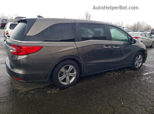 5FNRL6H79LB067303 2020 HONDA ODYSSEY Серый Задняя правая четверть