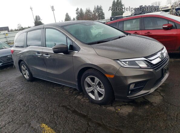 5FNRL6H79LB067303 2020 HONDA ODYSSEY Серый Передняя правая четверть