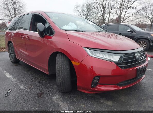 5FNRL6H79RB043818 2024 HONDA ODYSSEY  Передняя правая четверть