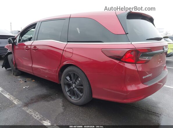 5FNRL6H79RB043818 2024 HONDA ODYSSEY  Задняя левая четверть