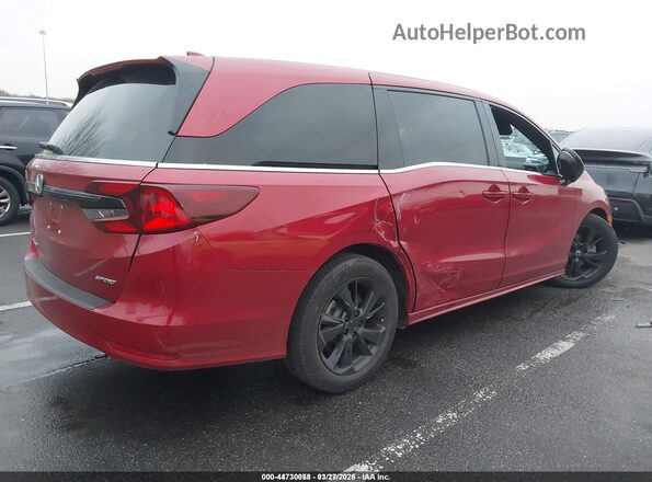 5FNRL6H79RB043818 2024 HONDA ODYSSEY  Задняя правая четверть