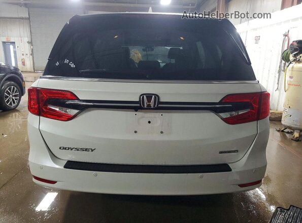 5FNRL6H80PB044491 2023 HONDA ODYSSEY Белый Вид сзади