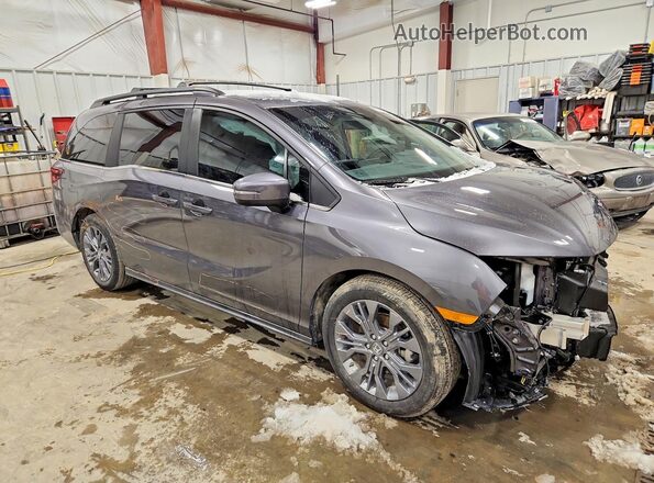 5FNRL6H81TB000445 2026 HONDA ODYSSEY Серый Передняя правая четверть