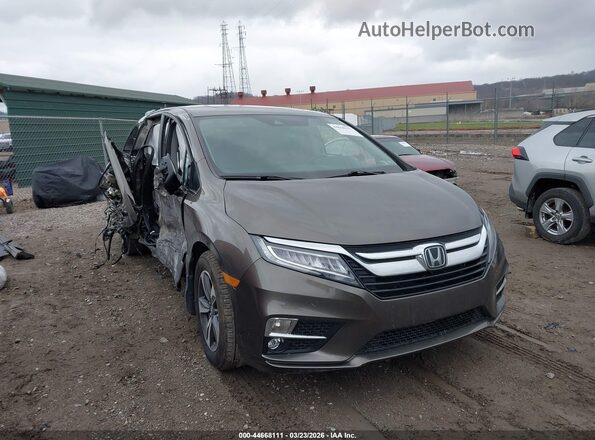 5FNRL6H8XKB126365 2019 HONDA ODYSSEY Gray Przód prawy