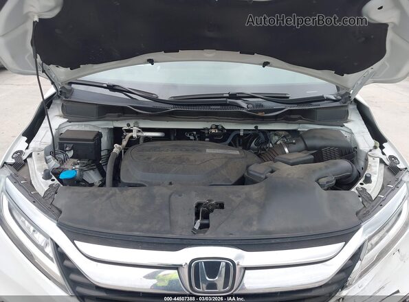 5FNRL6H91LB068902 2020 HONDA ODYSSEY Белый Вид сзади
