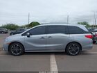 2024 Honda Odyssey Elite Серый vin: 5FNRL6H92RB051003