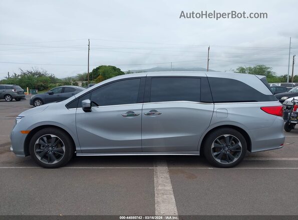 5FNRL6H92RB051003 2024 HONDA ODYSSEY Серый Панорамный вид салона 360°