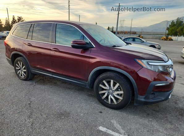 5FNYF5H35KB045646 2019 HONDA PILOT Бордовый Передняя правая четверть