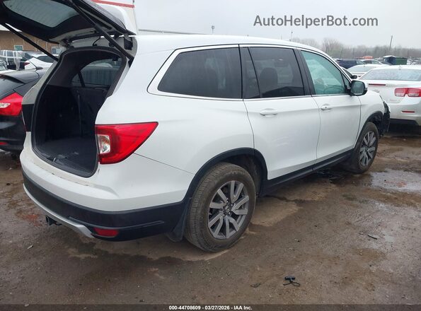 5FNYF5H51MB031750 2021 HONDA PILOT Белый Задняя правая четверть