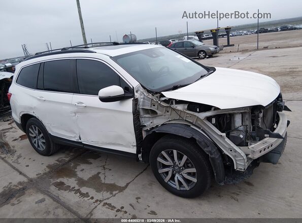 5FNYF5H59KB024414 2019 HONDA PILOT Белый Вид задней части салона