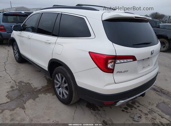 5FNYF5H59KB024414 2019 HONDA PILOT Белый Задняя левая четверть