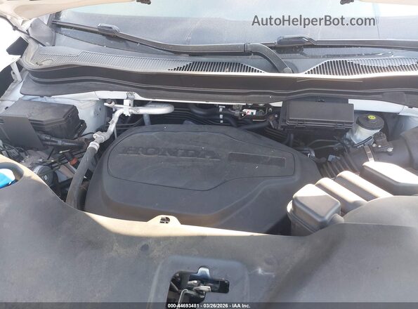 5FNYF7H25MB012877 2021 HONDA PASSPORT White Вид ззаду