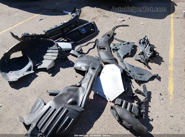 5FNYF8H02KB028066 2019 HONDA PASSPORT Белый 