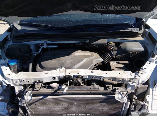 5FNYF8H02KB028066 2019 HONDA PASSPORT Белый Вид сзади