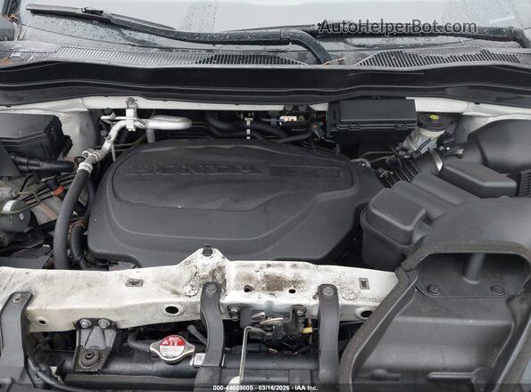 5FNYF8H25KB013756 2019 HONDA PASSPORT Белый Вид сзади