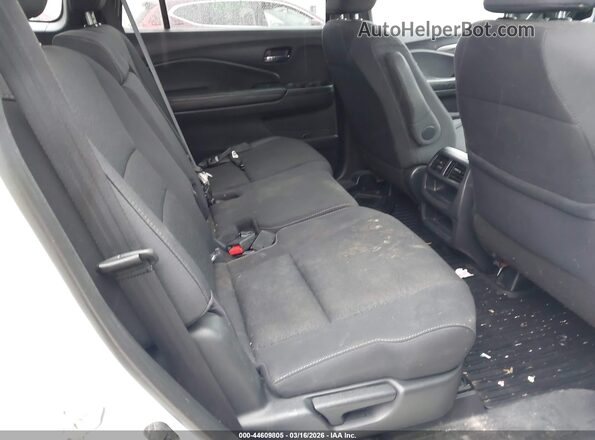 5FNYF8H25KB013756 2019 HONDA PASSPORT Белый Вид наклейки с VIN-кодом