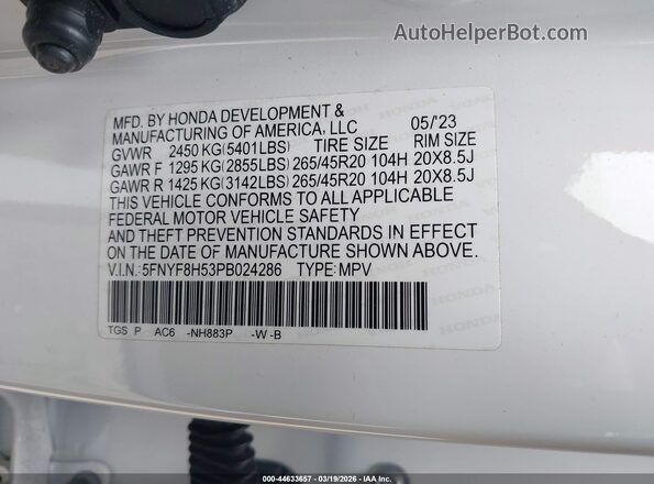 5FNYF8H53PB024286 2023 HONDA PASSPORT White Vista del compartimento del motor