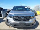 2023 Honda Passport Awd Ex-l Серый vin: 5FNYF8H53PB032842