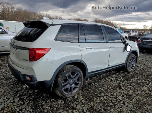 5FNYF8H54PB015029 2023 HONDA PASSPORT Белый Задняя правая четверть