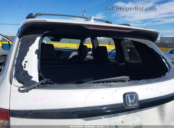 5FNYF8H6XRB019386 2024 HONDA PASSPORT Белый Вид спереди
